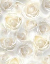 mj488366n