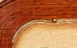 sc41606a